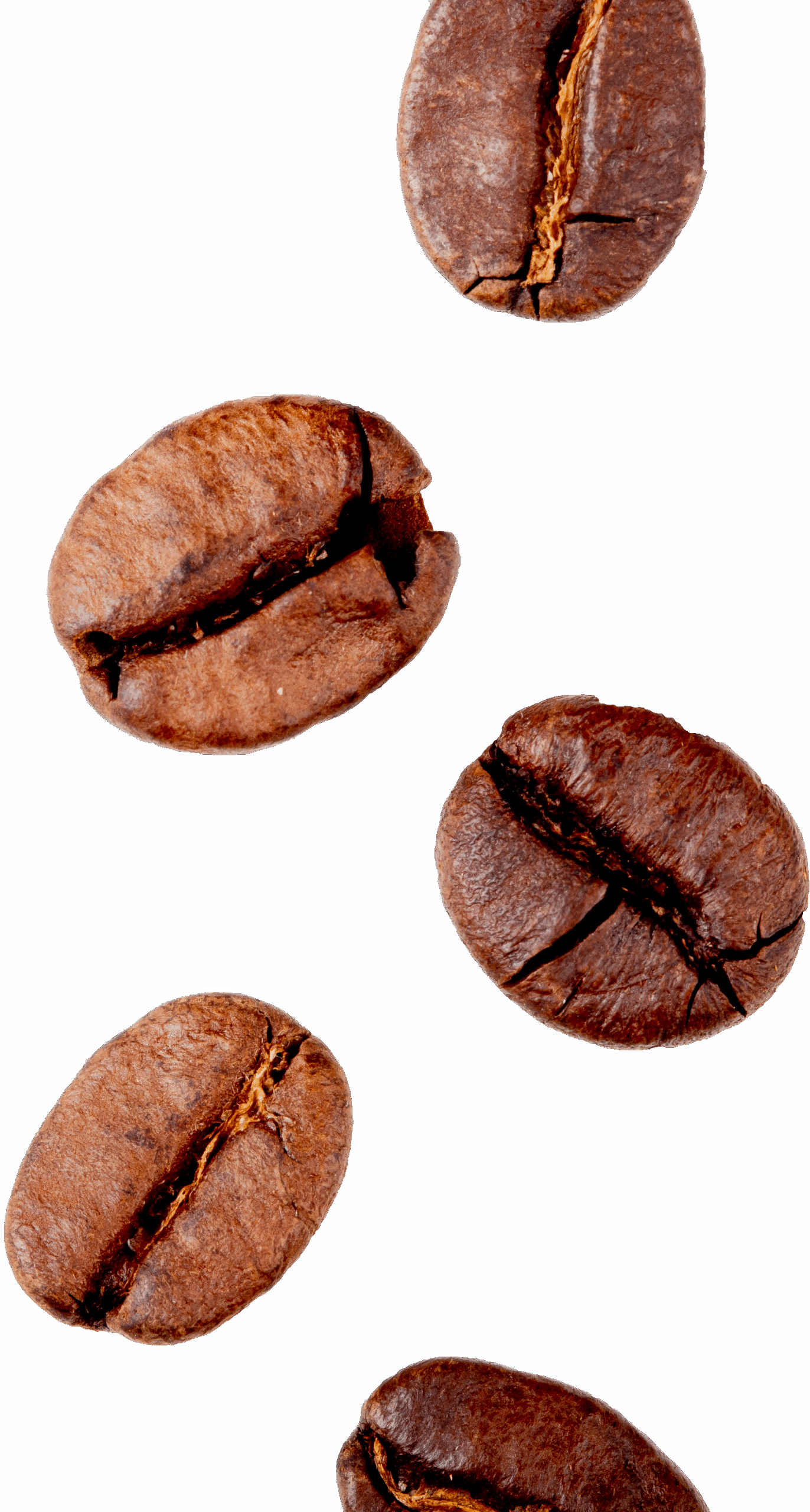 Granos de tradición cafetalera