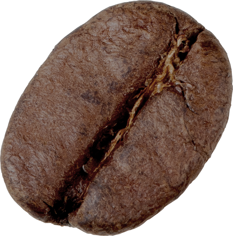 Grano Arábica Tostado Café 93