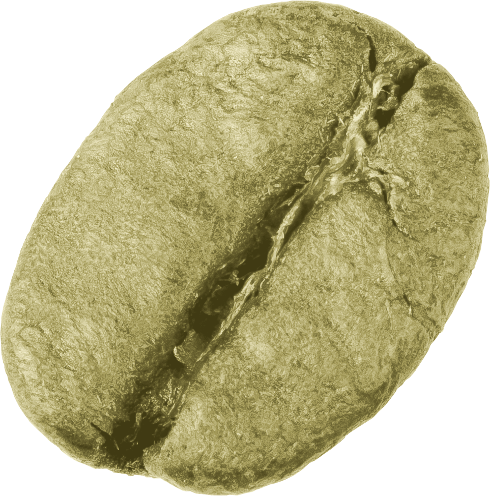 Grano Arabica Verde Café 93